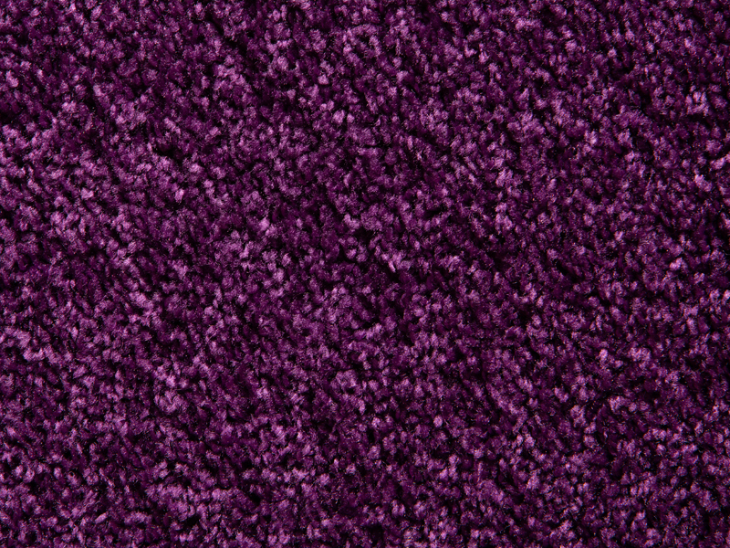 10' Advantage XL | Pantone Purple | 50 oz. |
Quick Ship Program 